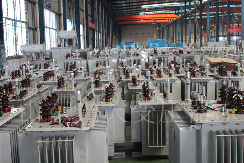 翠屏S22-800KVA/10KV